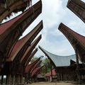 Pays Toraja 