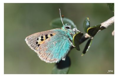 Le petit bijou du Var