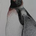 pingouin - feutre (delphine)