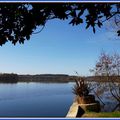 Lac de SOUSTONS - Pointe des Vergnes.....