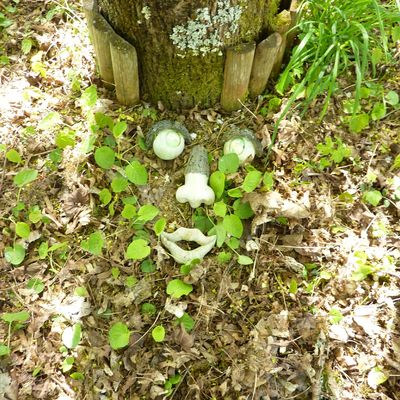 Trouvailles du jour (ou presque !) ...