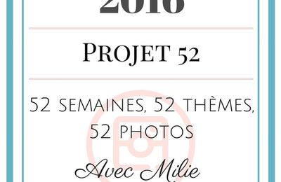 Projet "52 photos en 2016" #Enjoy