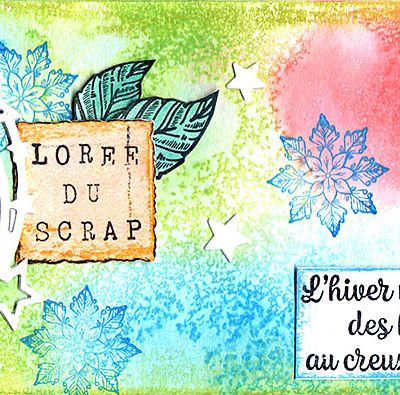 bannière de décembre et surement janvier