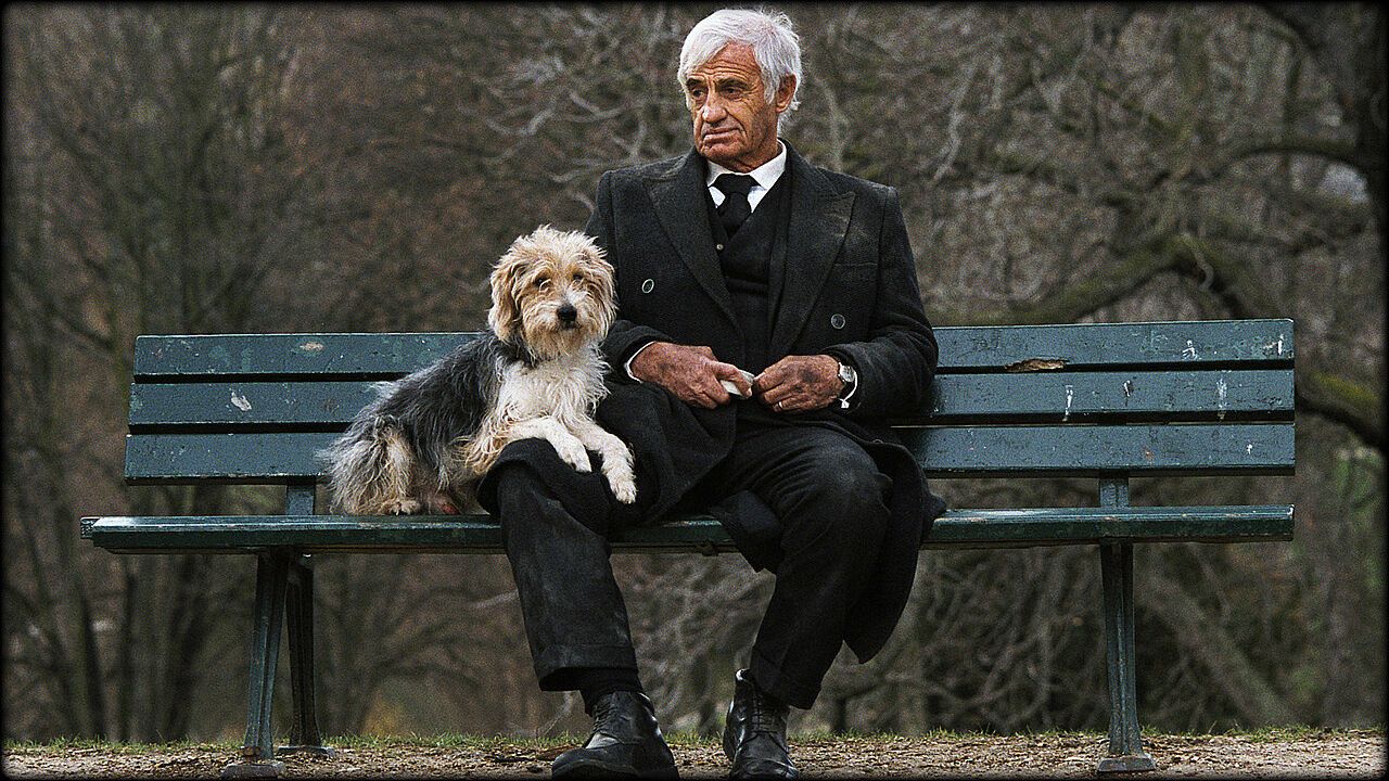 CHIEN, DEUIL, EPREUVE, LIENS, AMOUR, PERTE, DOULEUR