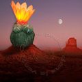 LAMPE DOUDOU CACTUS ET SA FLEUR ORANGEE