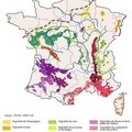 Les grandes régions viticoles françaises