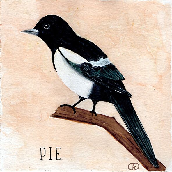 Pie