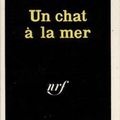 Un chat à la mer