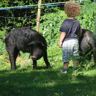 Presque 100 ans après ....