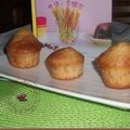 Envie de muffins et de bonbons !