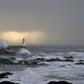 MATIN DE TEMPÊTE (2)