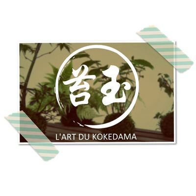 Adoptez l'esprit ZEN "KOKEDAMA"