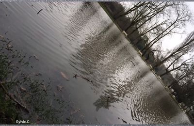 Petit coin de ciel du Lundi 08 Janvier