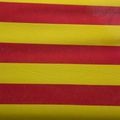 La Diada Nacional de Catalunya