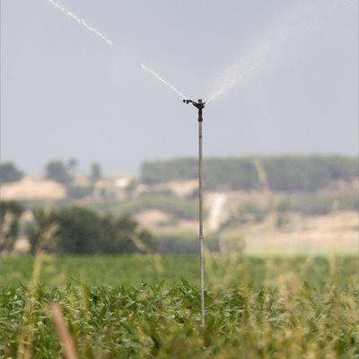 Los Monegros - Traversée (2)