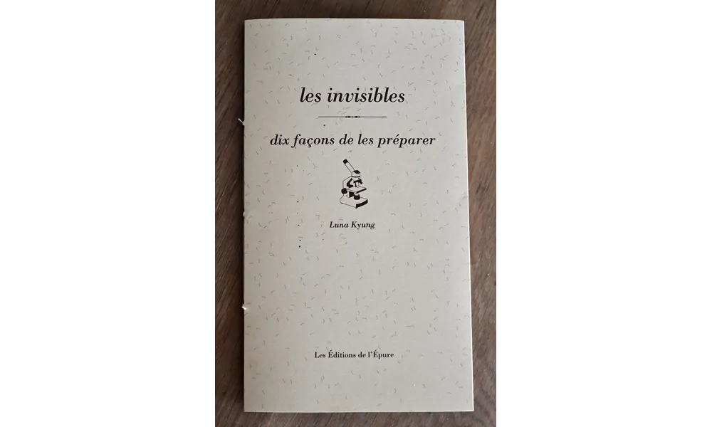 Les invisibles, dix façon de les préparer, mon nouveau livre