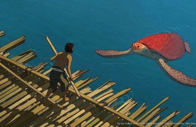 La tortue rouge, film d'animation de Michaël Dudok De Witt