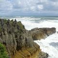 Entre Pancake Rocks et phoques...