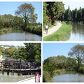 Sur le canal du Midi