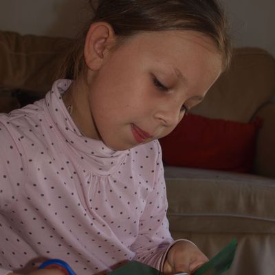 L'automne à nos fenêtres