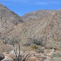 Palm Canyon Trail, Californie