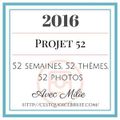 Projet 52-2016 # 1- Enjoy