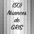 50 nuances de gris par Celinnette