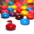 coccinelle sur smarties