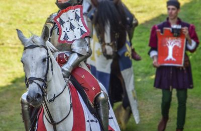 1446 Tournoi de Chevalerie, l'Emprise de la Gueule du Dragon (Guerre de Cent-Ans)