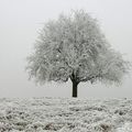 Noël en Alsace.