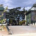 Les Grandes Serres du Jardin des Plantes de Paris