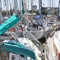 Route de l'Amitié en escale à Concarneau 2013