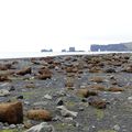 ISLANDE-6- VIK, la plage noire