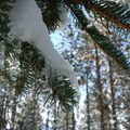 Sophrologie Toulouse : traverser l'hiver autrement