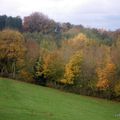 AU COEUR DE LA FLANDRE