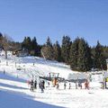 Location Ski (Morillon - Haute Savoie)