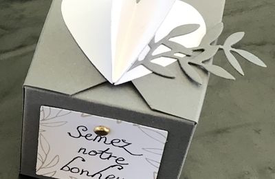 Boîtes et Succulentes - Semez notre bonheur !