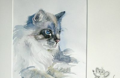 Portraits d'animaux