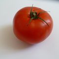 Tomate