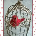 Petit oiseau en cage