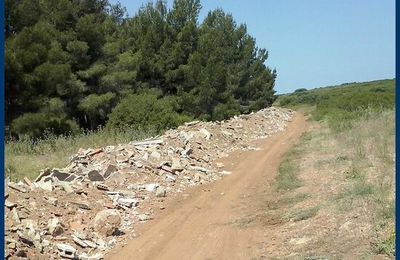 Une colline souillée!!!