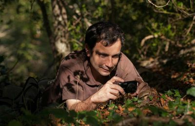 "Mycocosmos" ou la migration du "Club des Cèpes" vers un forum éthique et écoresponsable...