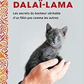 Le chat du Dalaï-Lama 