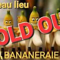 Bananeraie, samedi 10 juin 