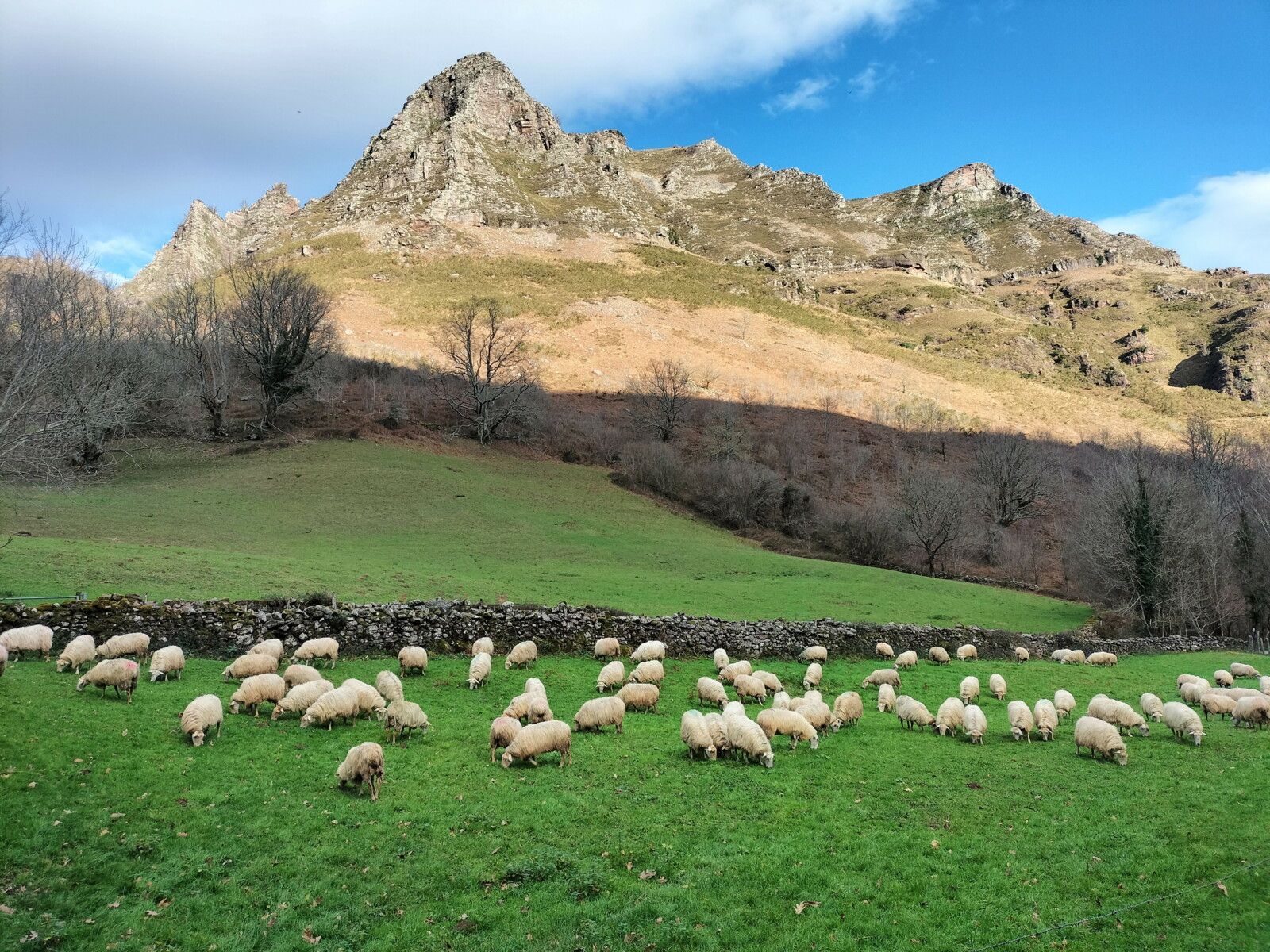 Aritzakun, maison Berekoetxea, brebis et pena Itxusi. (Espagne)