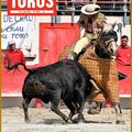 TOROS DE MI-AVRIL est en vente