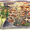 Croquis du jardin