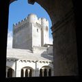 L'Abbaye de Montmajour, près d'Arles
