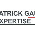 Patrick Gautier Expertise 