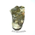 CHALCOPYRITE H180 - Espagne - COLLECTION MINERAUX 